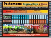 Pachamama image 1 grande.webp Pachamama image 1 grande.webp