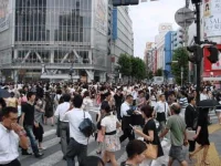 DSC00246.webp