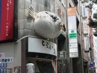 DSC00079.webp DSC00079.webp