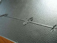 DSCN3111.webp