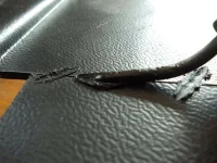 DSCN3114.webp