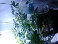 Photo0072.webp