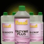 enhancer.webp