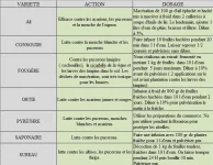 insecticides.webp