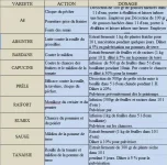 fongicides.webp
