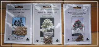 new seeds +.webp