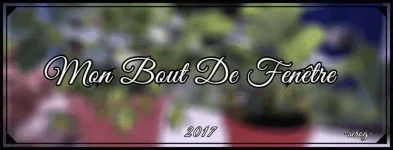 MON BOUT DE FENËTRE.webp