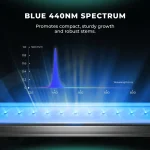 5-2025-new-adlite-supplement-led-Blue-440nm-Spectrum.webp 5-2025-new-adlite-supplement-led-Blue-440nm-Spectrum.webp