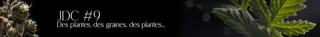 titre jdc 9 c.webp
