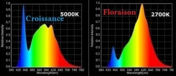 spectre et temperature des couleurs flo et cro.webp spectre et temperature des couleurs flo et cro.webp