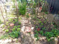 IMG_20260415_123739~2.webp