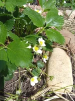 IMG_20260415_153310~2.webp