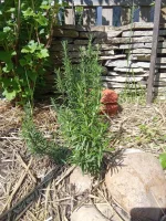 IMG_20260415_153640~2.webp