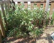 IMG_20260415_124008~2.webp