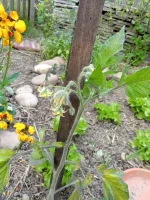 IMG_20260418_181701~2.webp