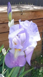 IMG_20260420_120843.webp