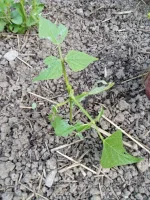 IMG_20260420_194000~2.webp