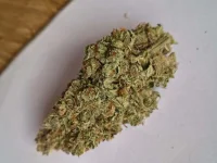 IMG-20260116-WA0009.webp