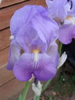 IMG_20260422_071522~2.webp