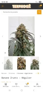 Screenshot_20260301_185912_Chrome.webp