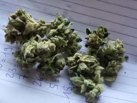 bub-pheno4001.webp