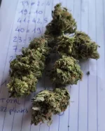 exogorg-pheno2301.webp