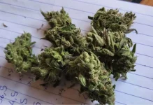 exogorg-pheno2601.webp