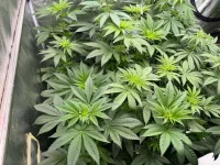 IMG_2463.webp
