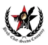 bcsc.webp