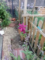 IMG_20260507_190346.webp