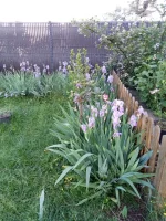 IMG_20260507_190305.webp