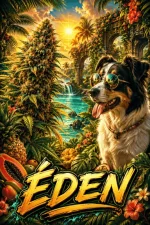 Messenger_creation_C4CDEBB3-FAB1-4D44-8960-AA0843871EF0.webp