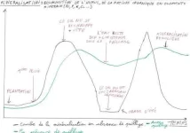 croq courbes.webp