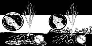 microbes.webp