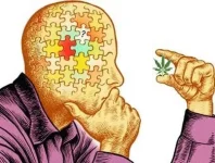 Amnesia - Puzzle.webp