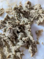PXL_20260907_162056566.MACRO_FOCUS.webp