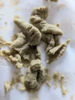 PXL_20260907_162110806.MACRO_FOCUS.webp