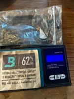 Grow26--274.webp
