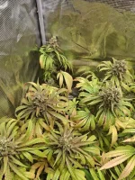 20260916_001652.webp