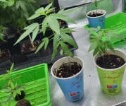 boutzpm31juillet-06.webp