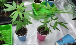 boutzpm31juillet-07.webp