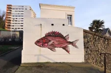Crown-squirrelfish-Sargocentron-diadema-1-725x481.webp