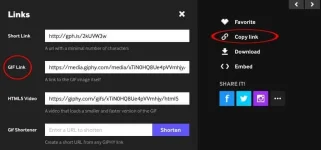 giphy.webp