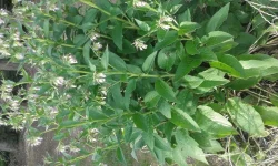 20170514_192726.webp