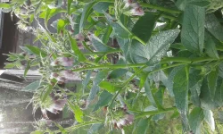 20170514_192747.webp