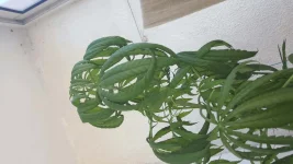 20170715_150634.webp 20170715_150634.webp