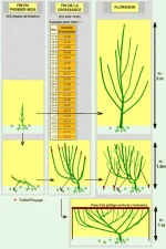 schmacultureoutdoorflofba2.webp schmacultureoutdoorflofba2.webp