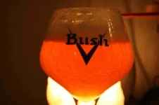 bush.webp