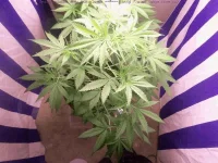 100_1365-MiNi.webp