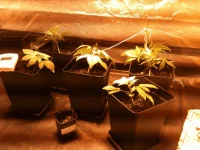 photo(7).webp